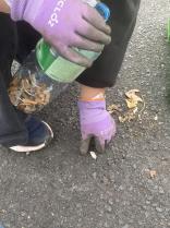 image cleanwalk_octobre_2025.jpg (1.5MB)